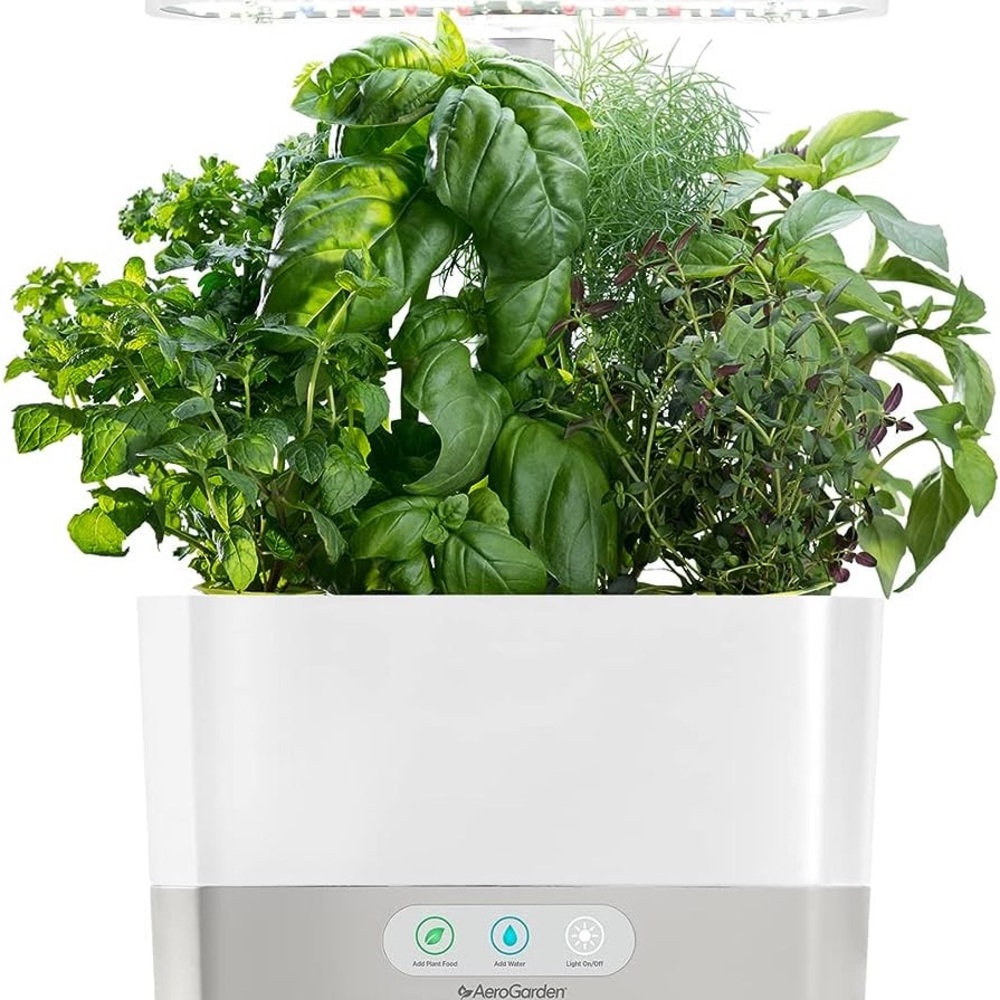 aerogarden